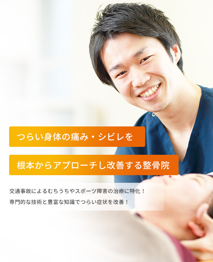 甲斐整骨院 オプシアミスミ院